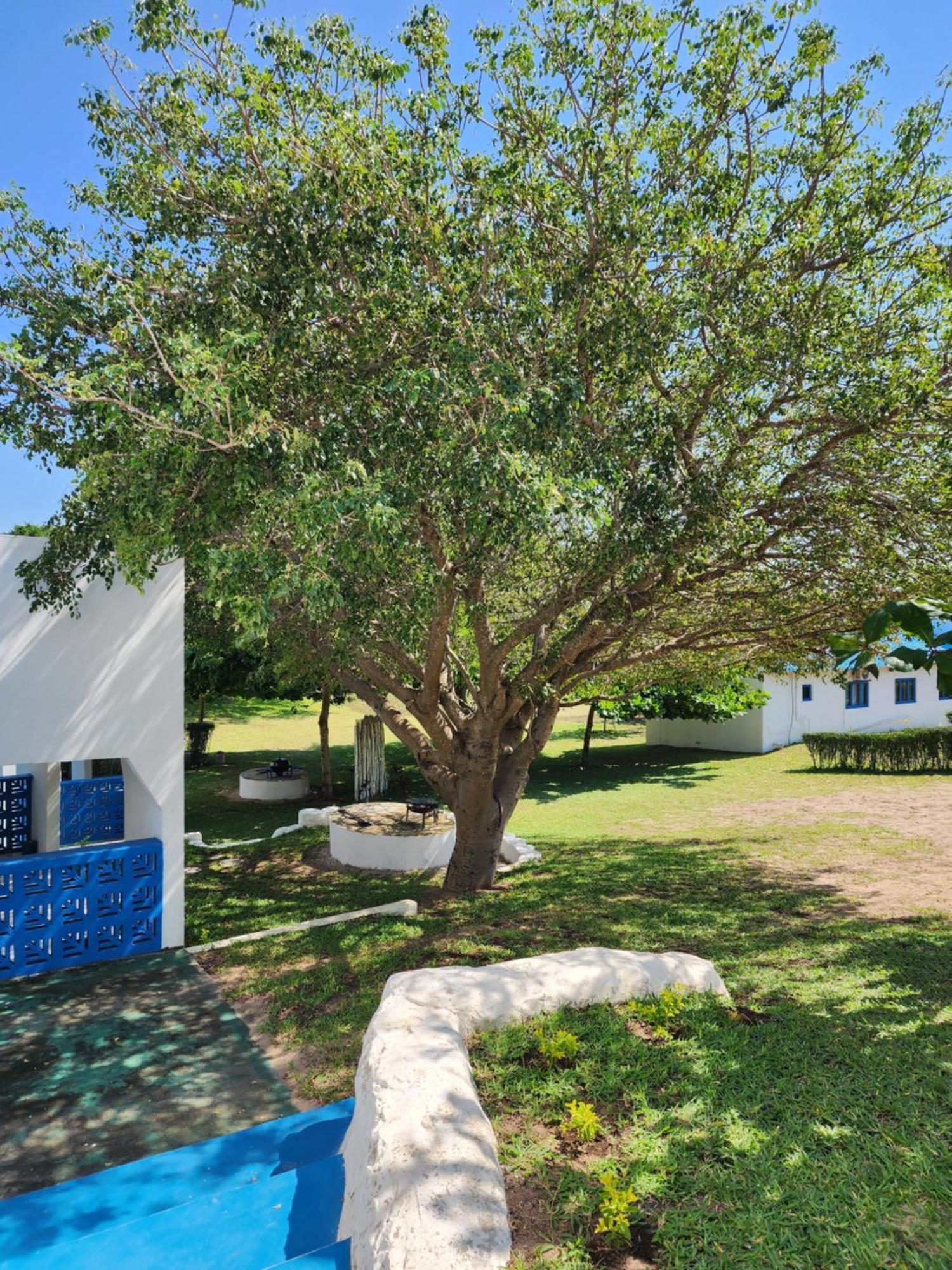 Serenity Nhabanga, Bilene Vila Praia Do Bilene Exterior foto
